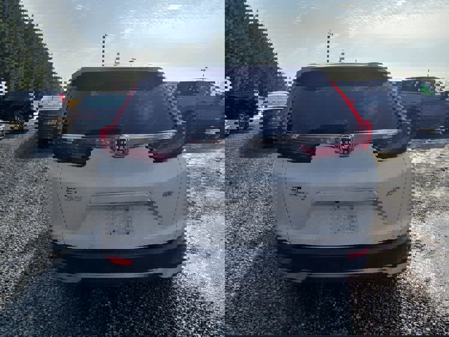 Used 2021 Honda CR-V EX-L image 7