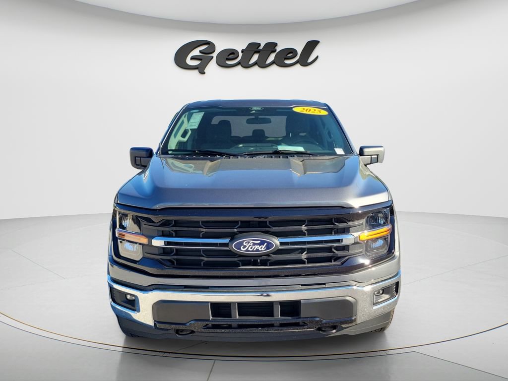 Used 2025 Ford F150 XLT w/ Equipment Group 301A Standard image 8