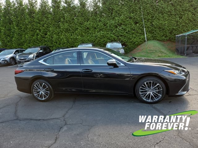 Used 2023 Lexus ES 250 w/ Premium Package AWD/4WD image 8