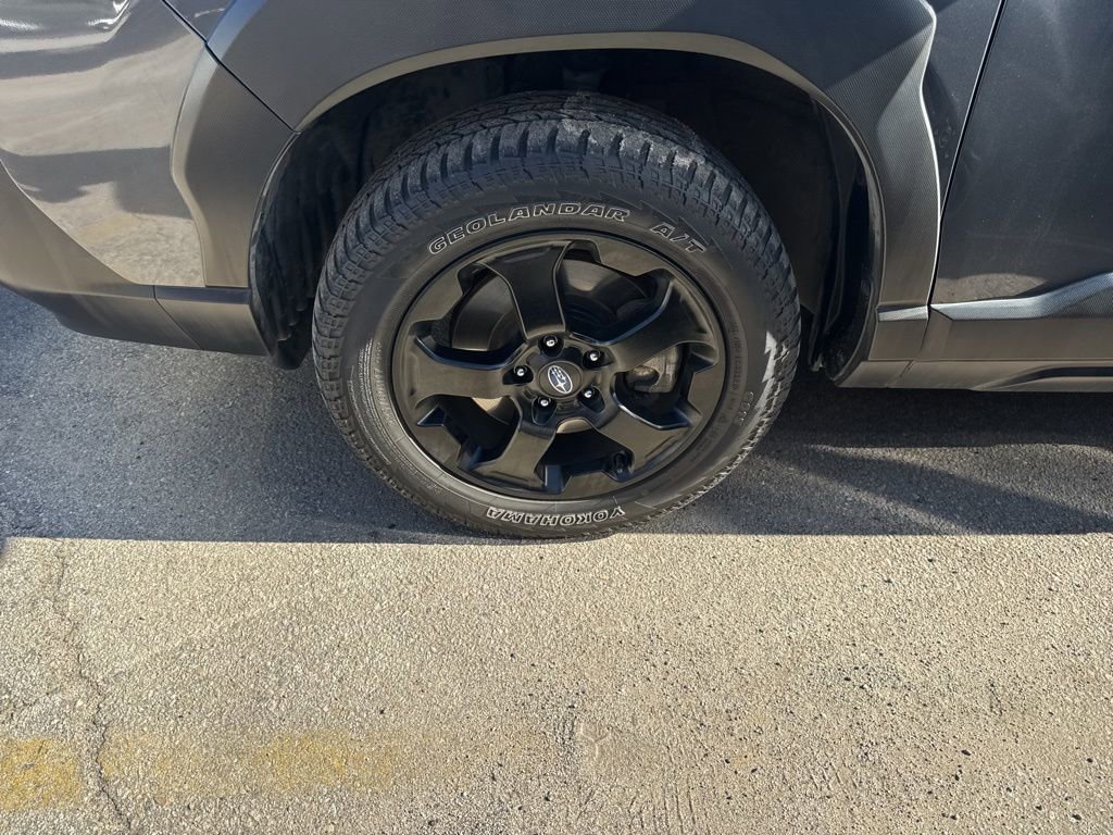 Used 2023 Subaru Forester Wilderness image 6