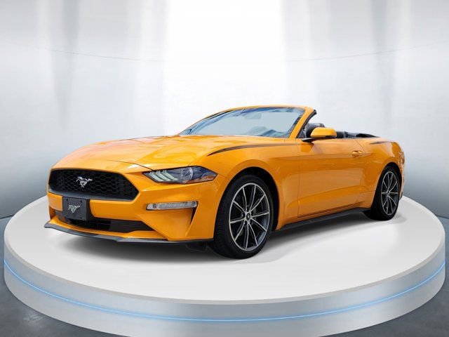 Used 2019 Ford Mustang Premium w/ Equipment Group 201A image 2