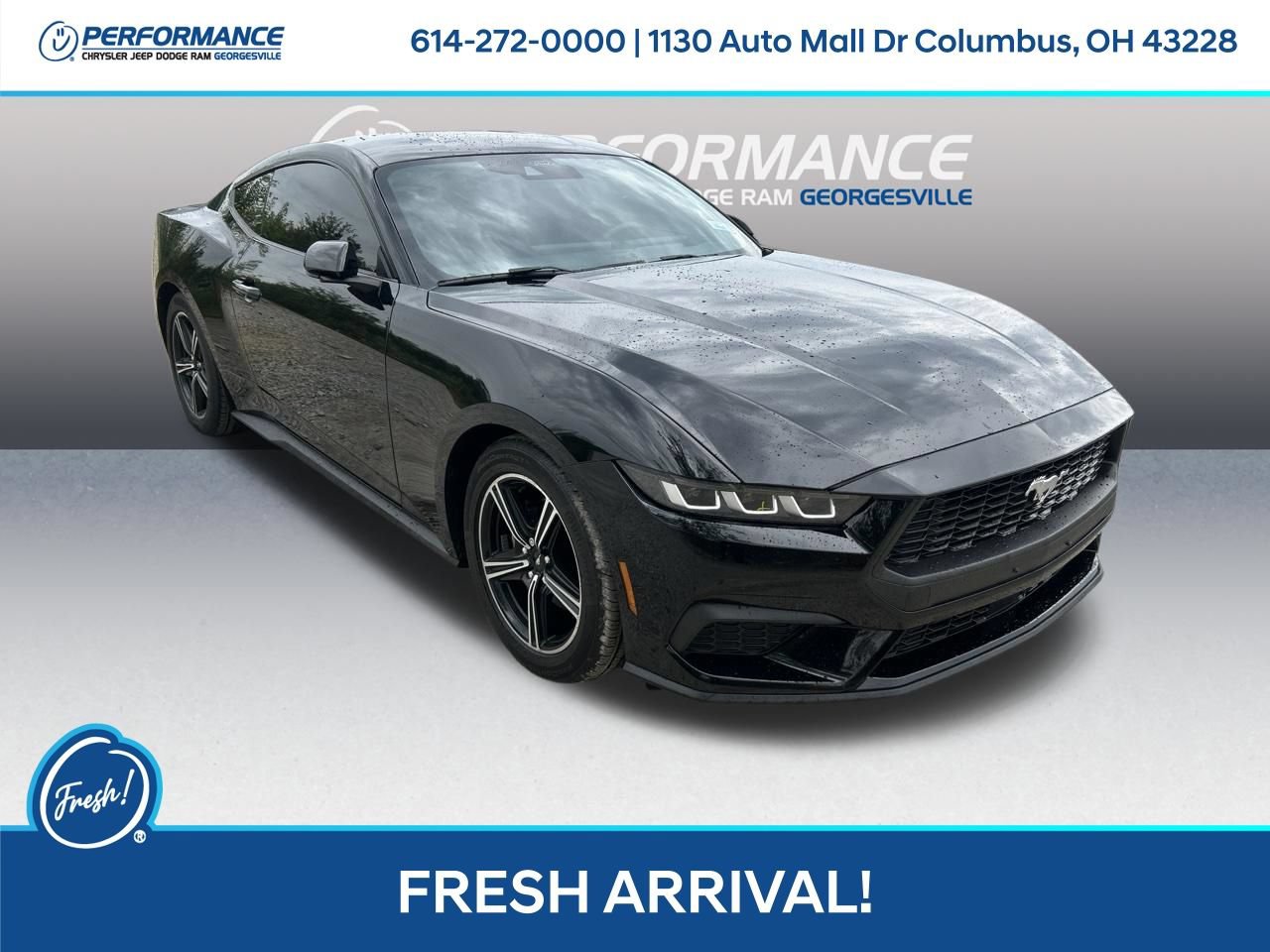 Used 2024 Ford Mustang Coupe RWD image 1