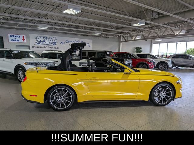 Used 2018 Ford Mustang Premium w/ Equipment Group 201A RWD image 10