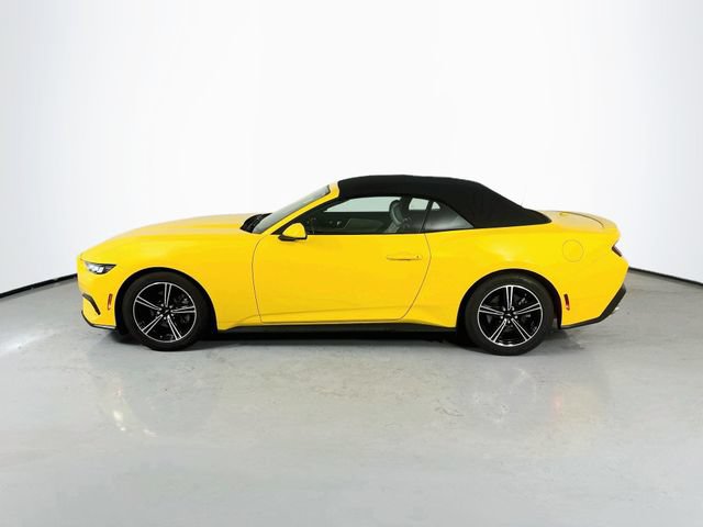Used 2024 Ford Mustang Premium RWD image 6