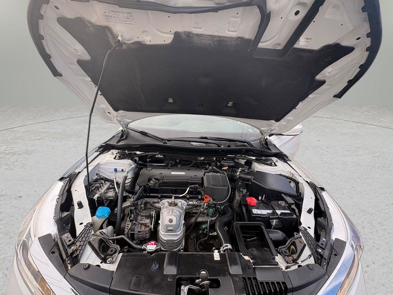 Used 2017 Honda Accord Sport Special Edition image 43