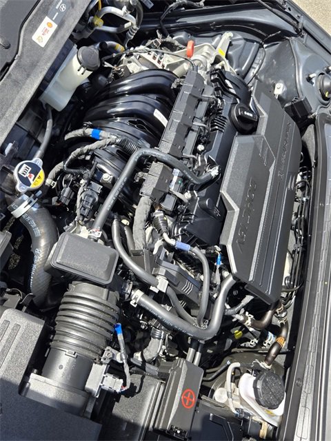 Certified 2023 Hyundai Elantra SEL w/ Convenience Package image 17