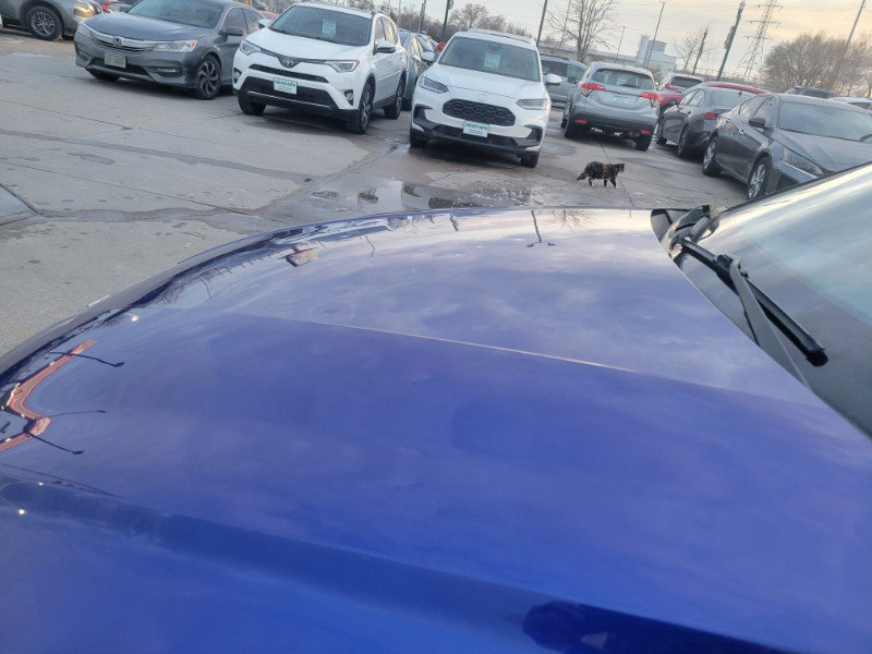 Used 2023 Hyundai Elantra SEL w/ Convenience Package image 13