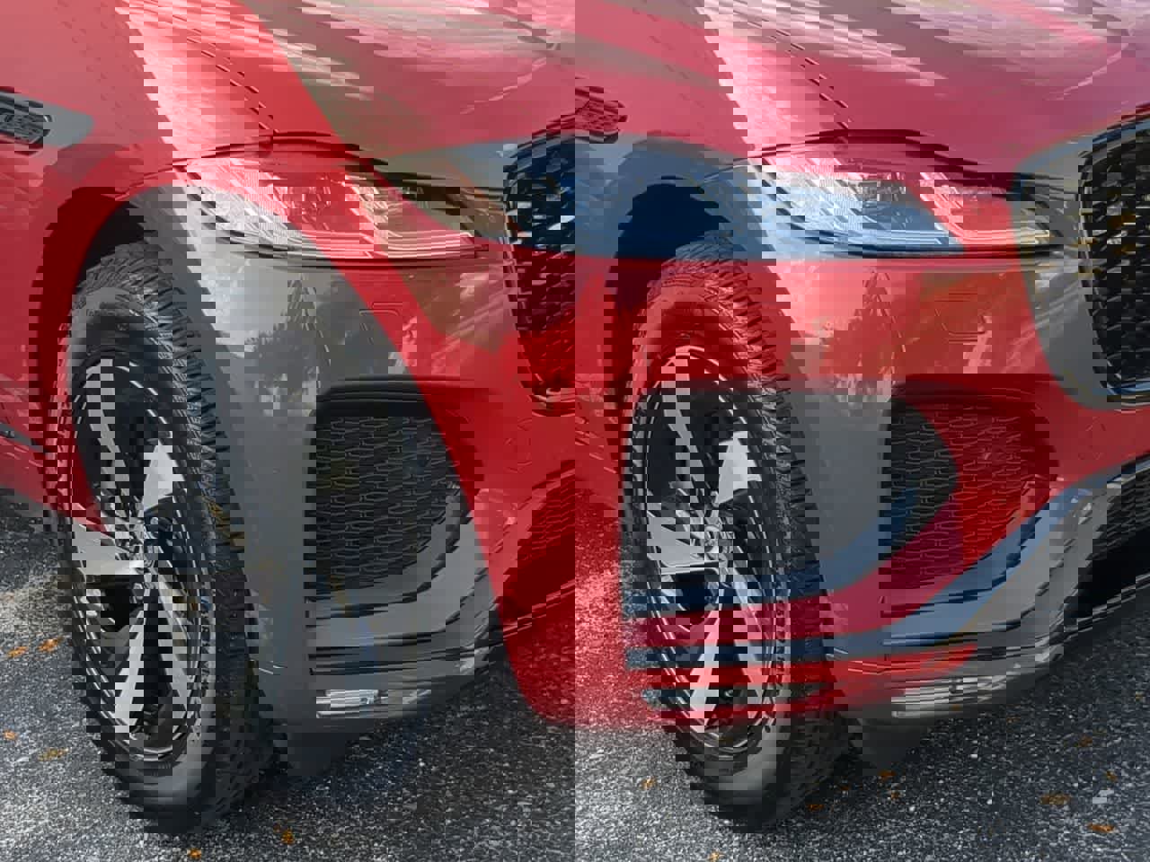 Used 2024 Jaguar F-PACE R-Dynamic S image 11