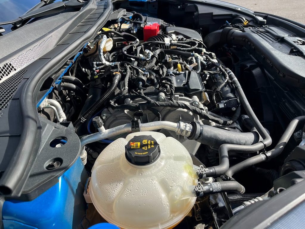 Used 2021 Ford Escape SE w/ SE Sport Appearance Package image 31