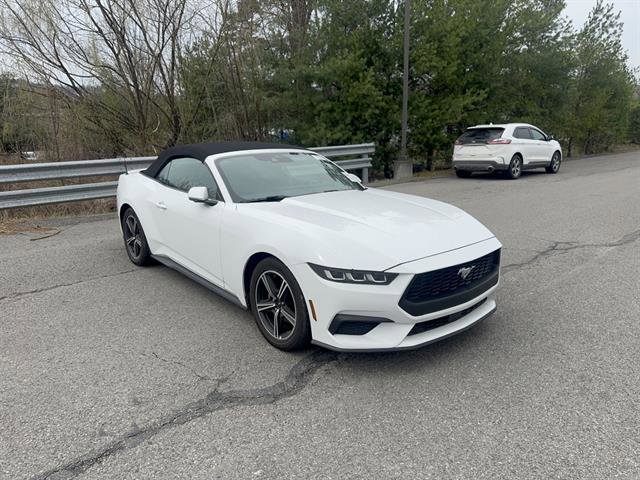 Used 2024 Ford Mustang Premium image 4