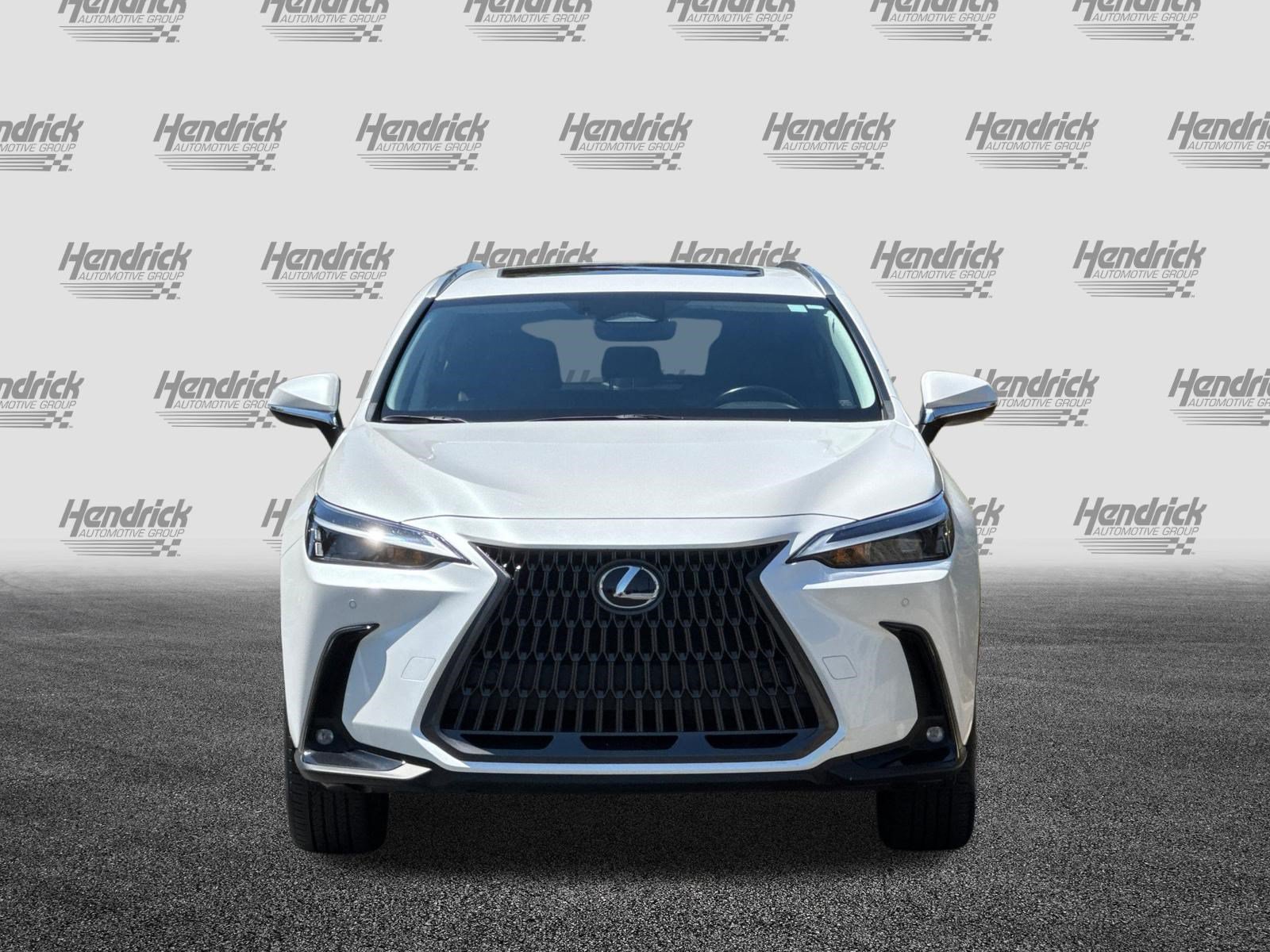 Certified 2024 Lexus NX 350h AWD image 10
