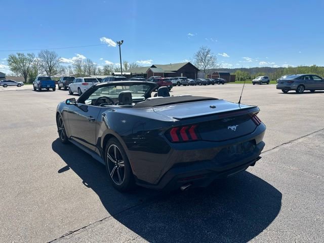 Used 2024 Ford Mustang Premium image 6