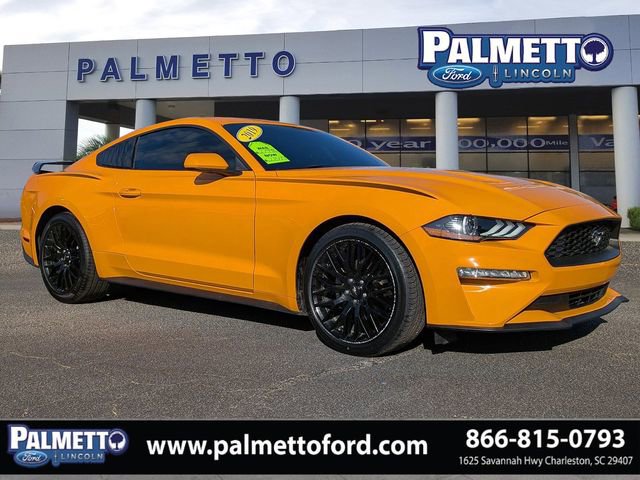 Used 2019 Ford Mustang EcoBoost w/ Equipment Group 101A image 1