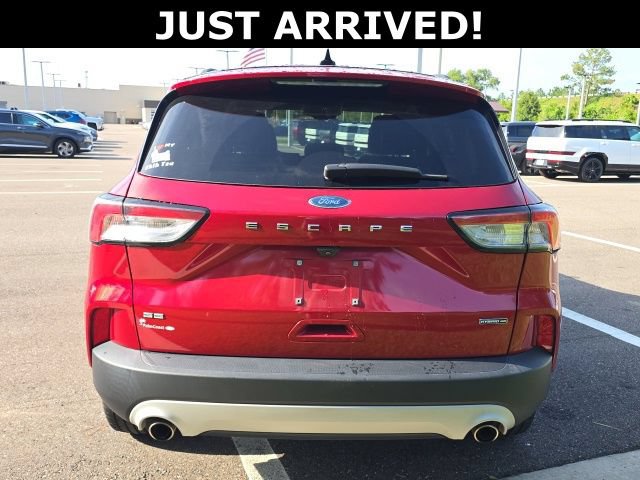 Used 2020 Ford Escape SE Sport AWD/4WD image 4
