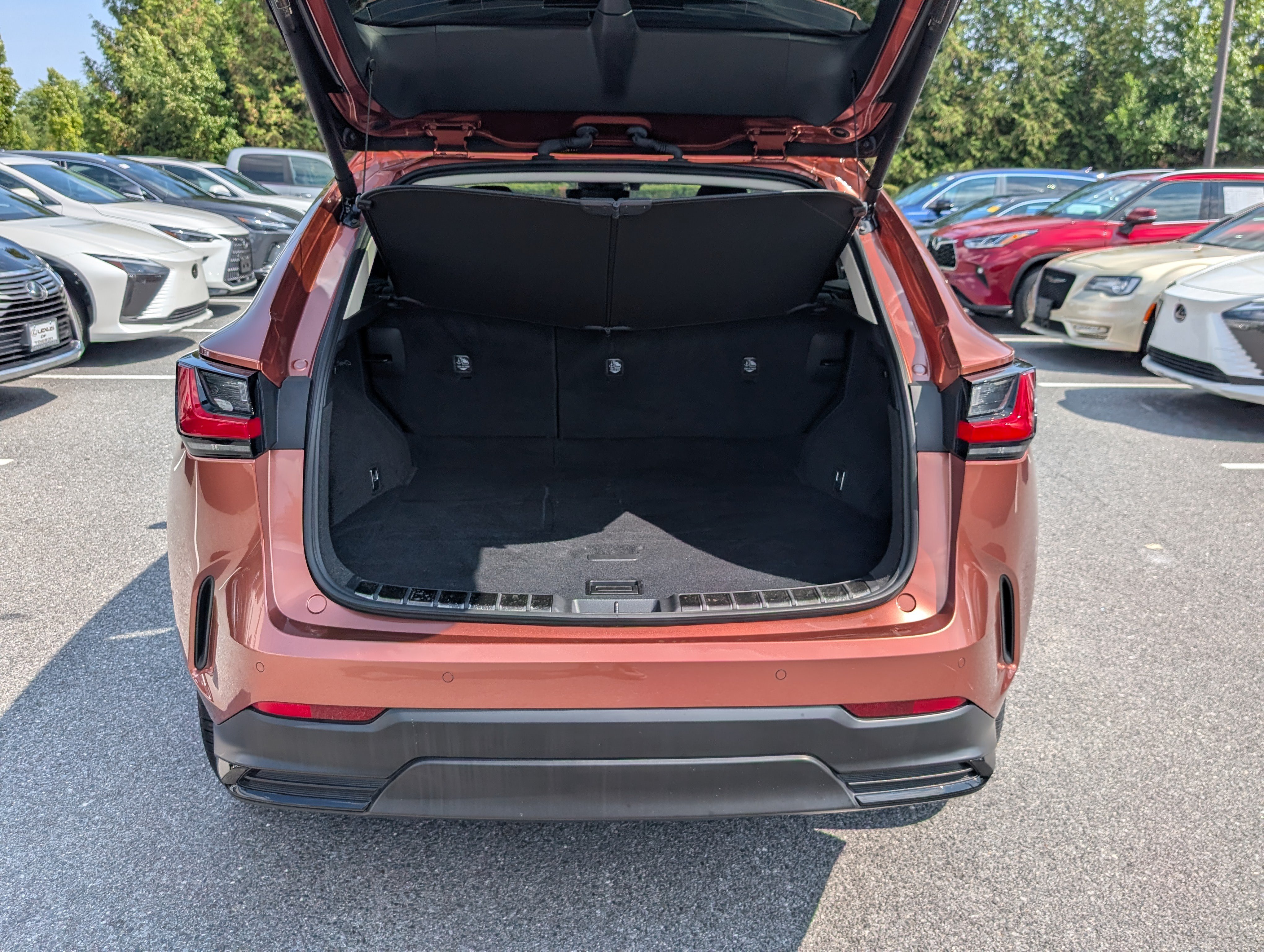 Certified 2025 Lexus NX 350h AWD w/ Cold Area Package image 13
