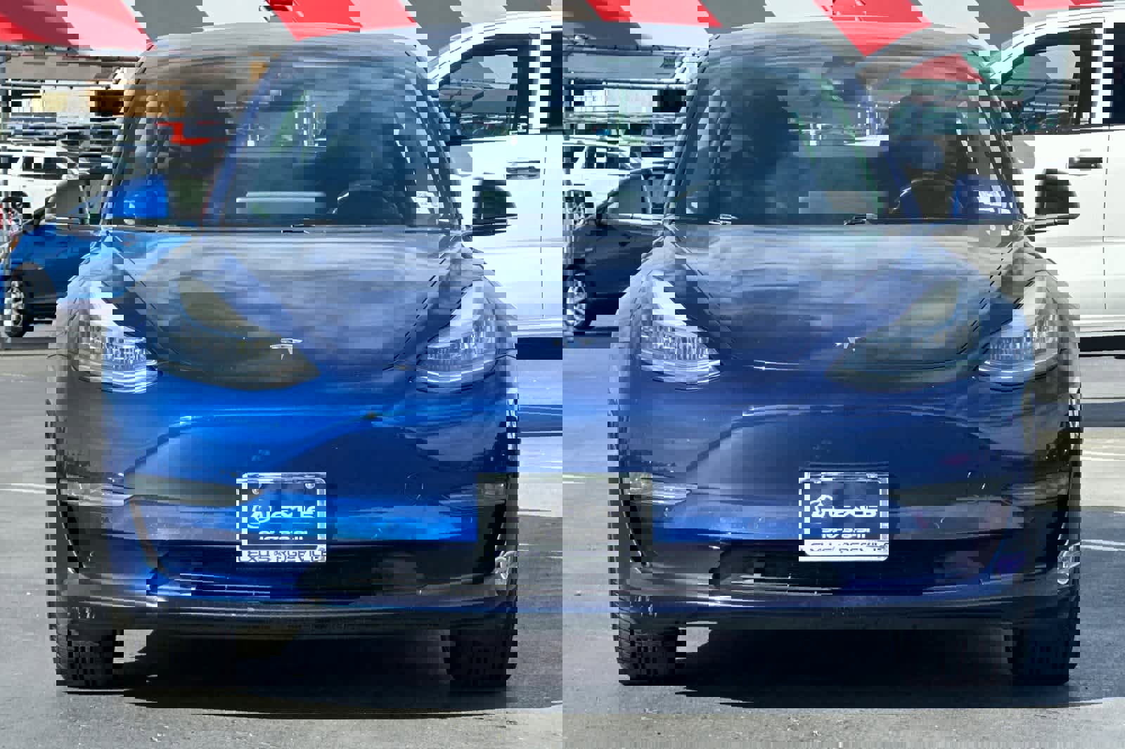 Used 2019 Tesla Model 3 Standard Range Plus image 10