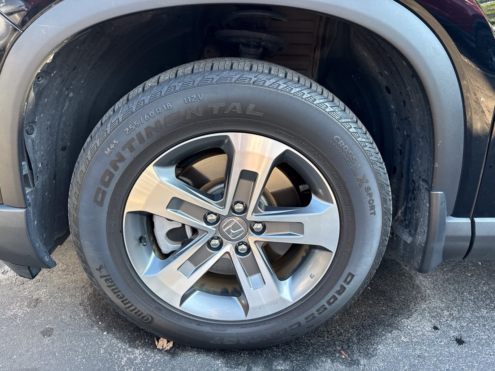 Certified 2025 Honda Pilot EX-L image 3