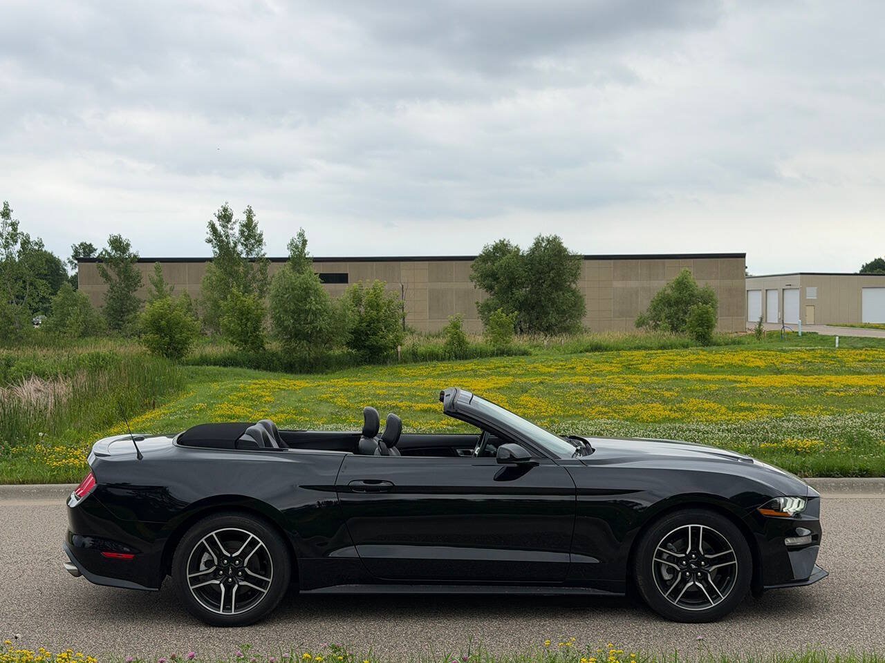 Used 2022 Ford Mustang Premium RWD image 2
