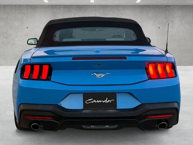 Used 2024 Ford Mustang Premium RWD image 16