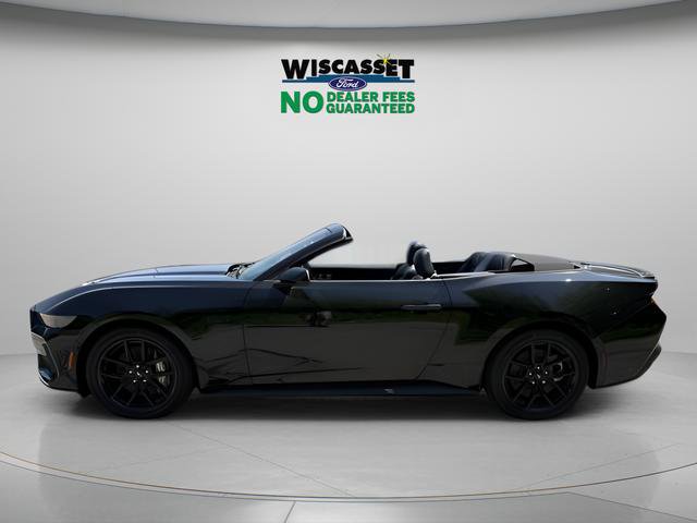 New 2025 Ford Mustang GT Premium w/ Mustang Nite Pony Package image 2