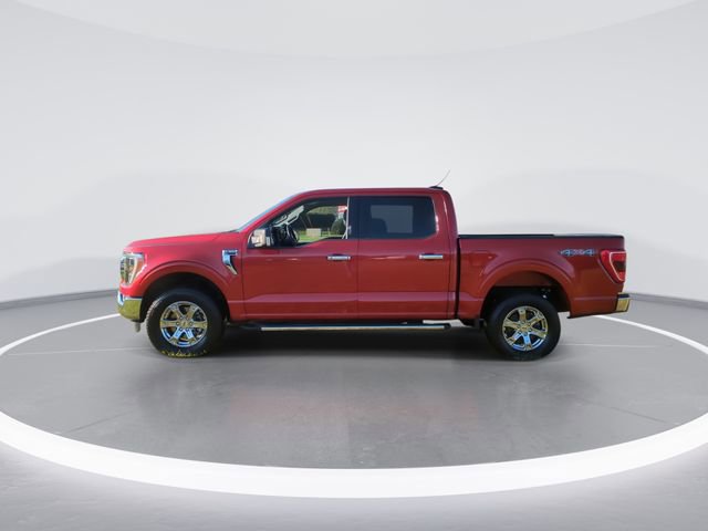Used 2023 Ford F150 XLT w/ Equipment Group 302A High image 5