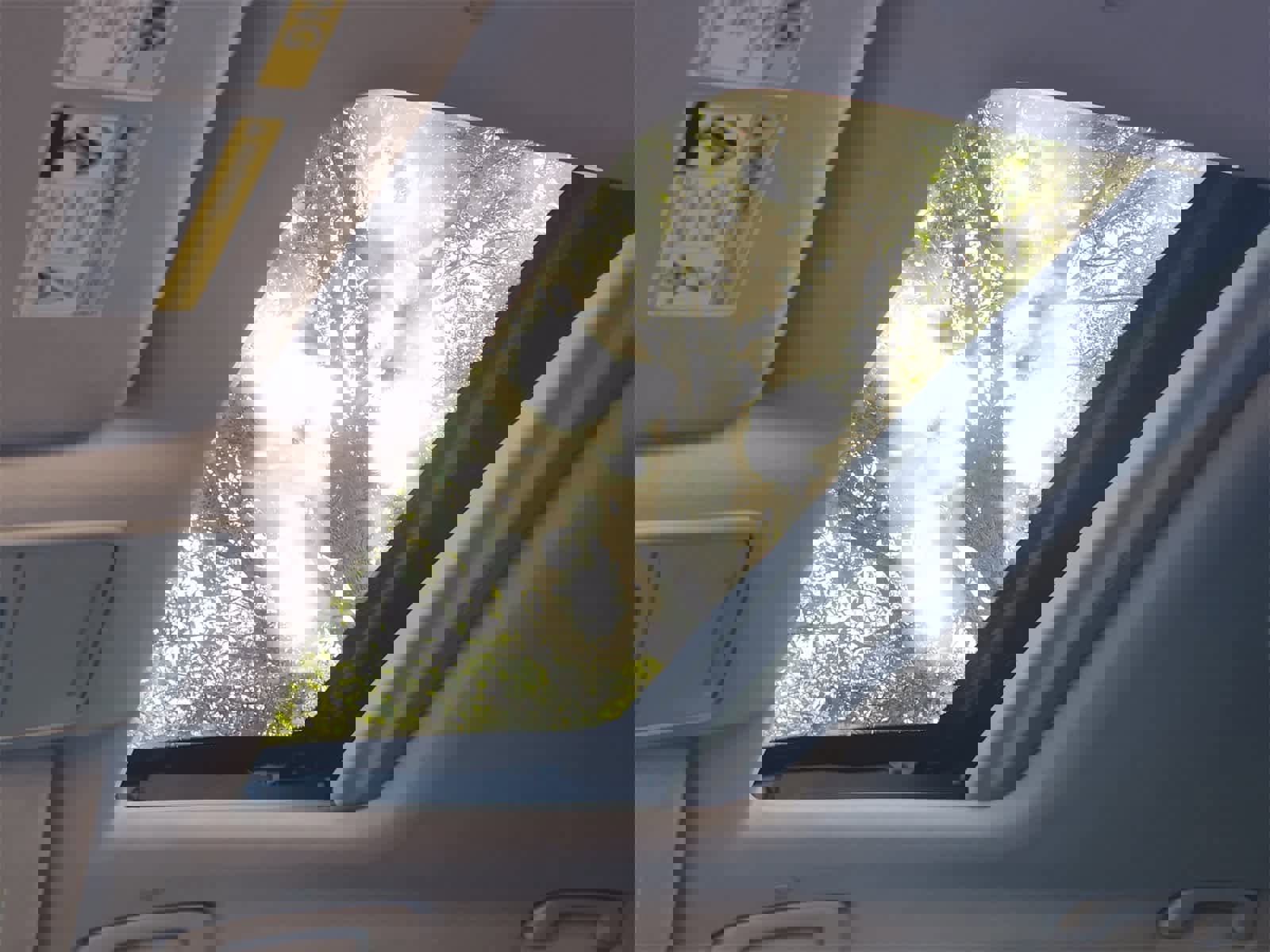 Used 2025 Honda CR-V EX-L image 24