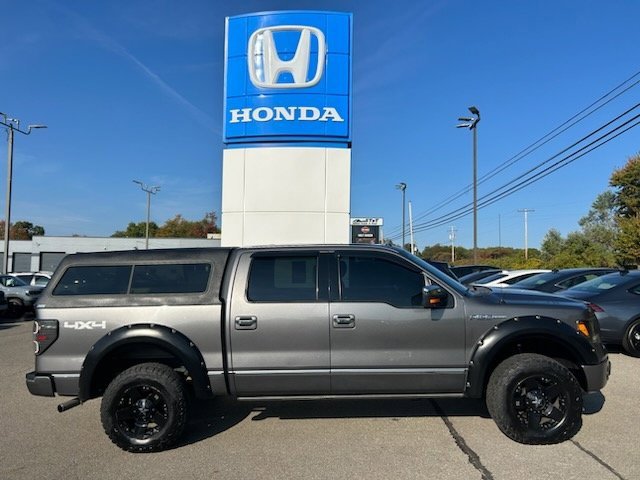 Used 2010 Ford F150 Platinum