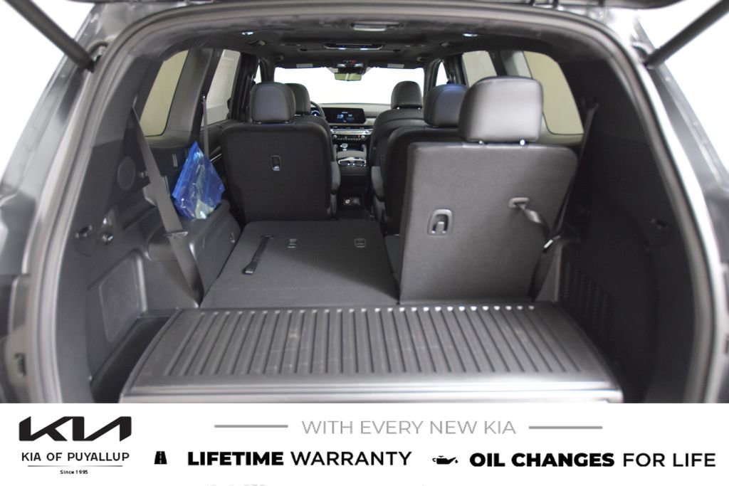 New 2025 Kia Telluride SX Prestige X-Line image 19