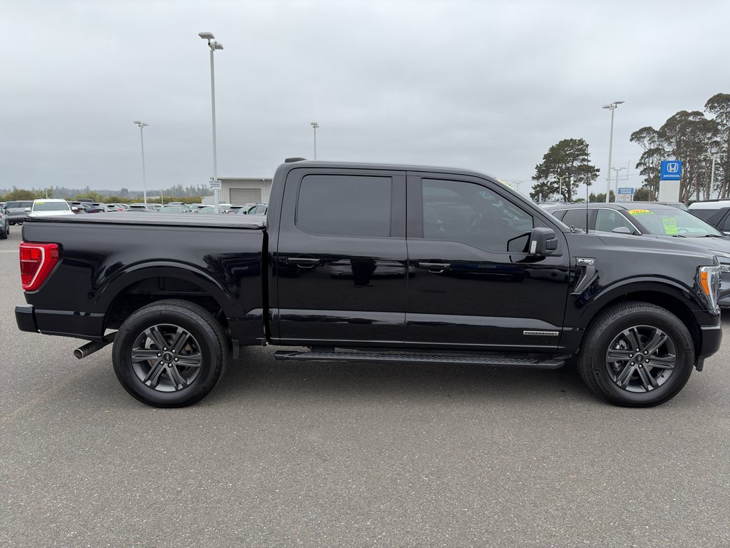Used 2023 Ford F150 XLT w/ Equipment Group 302A High AWD/4WD image 7