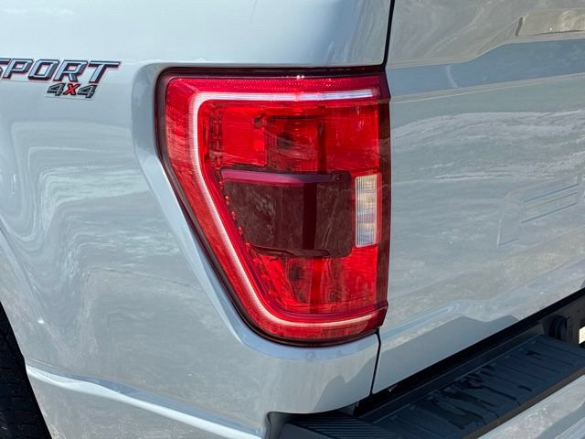 Used 2023 Ford F150 XLT w/ Equipment Group 302A High AWD/4WD image 13