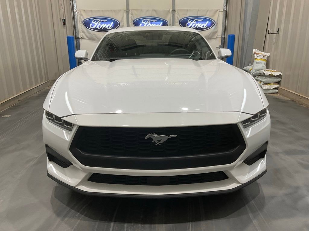 Used 2024 Ford Mustang Coupe image 2