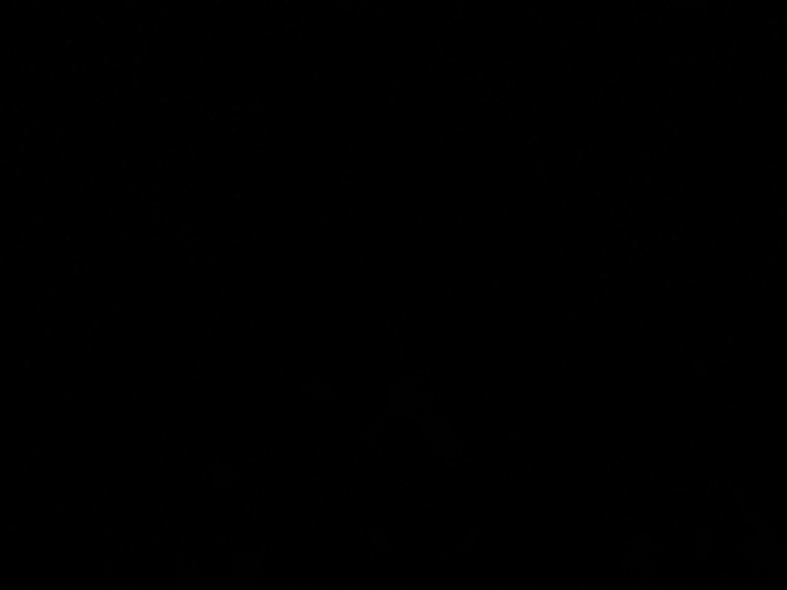 New 2025 Nissan Leaf SV Plus image 9