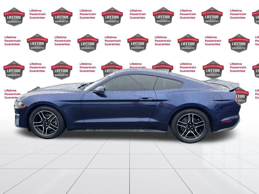 Used 2019 Ford Mustang Premium image 8