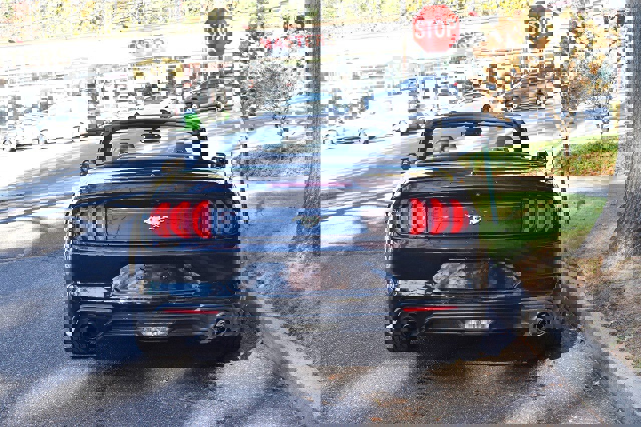 Used 2019 Ford Mustang Premium image 7