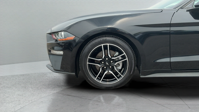 Used 2022 Ford Mustang Premium RWD image 25