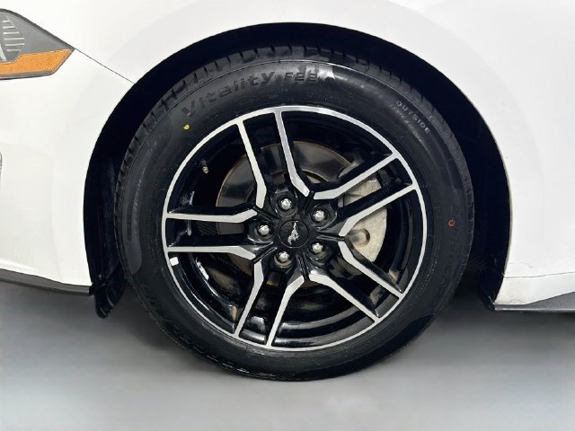 Used 2019 Ford Mustang Premium RWD image 35