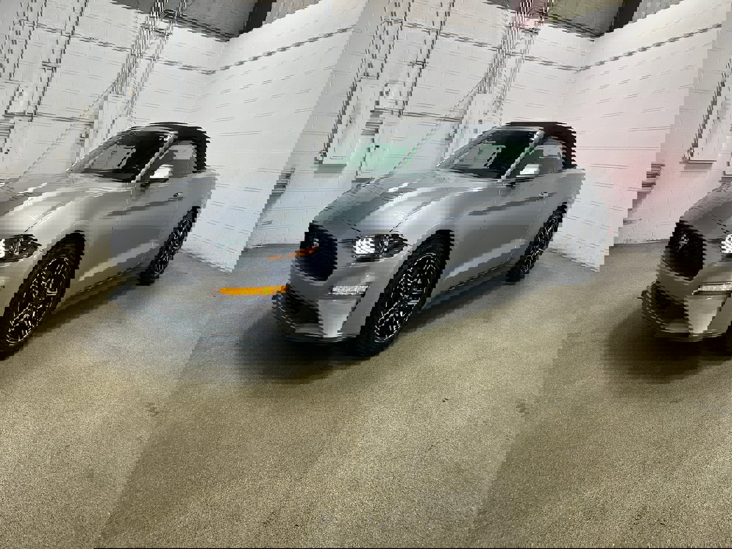 Certified 2023 Ford Mustang Premium image 4