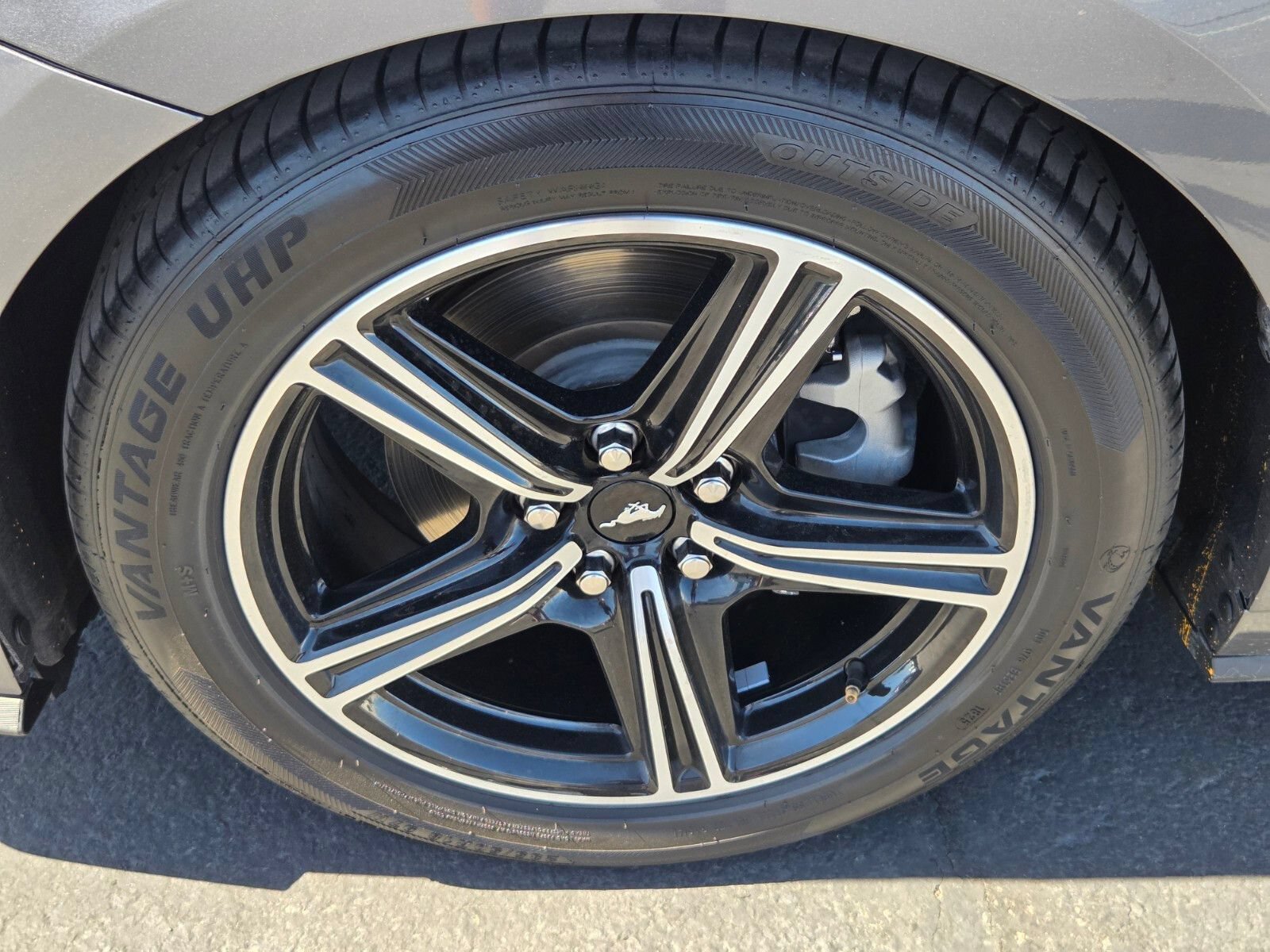 Certified 2024 Ford Mustang Premium RWD image 9