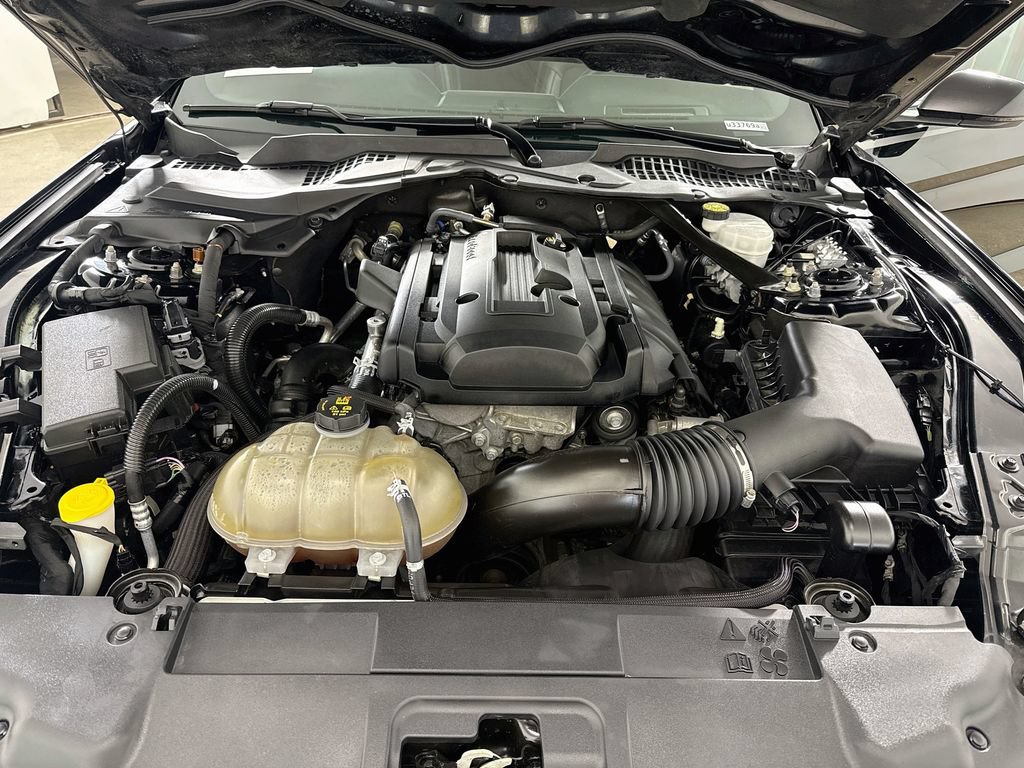 Used 2019 Ford Mustang Premium w/ Equipment Group 201A RWD image 28
