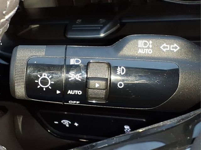 Used 2025 Kia Carnival SX Prestige image 31