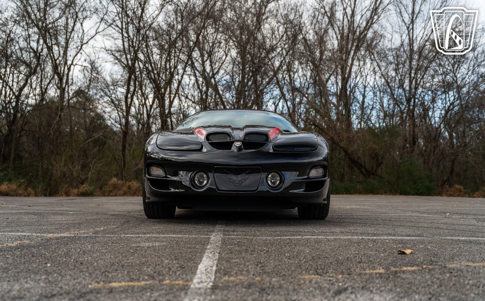 Used 2002 Pontiac Firebird Trans Am image 9