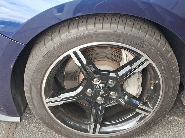 Used 2019 Ford Mustang GT Premium w/ Equipment Group 401A RWD image 10