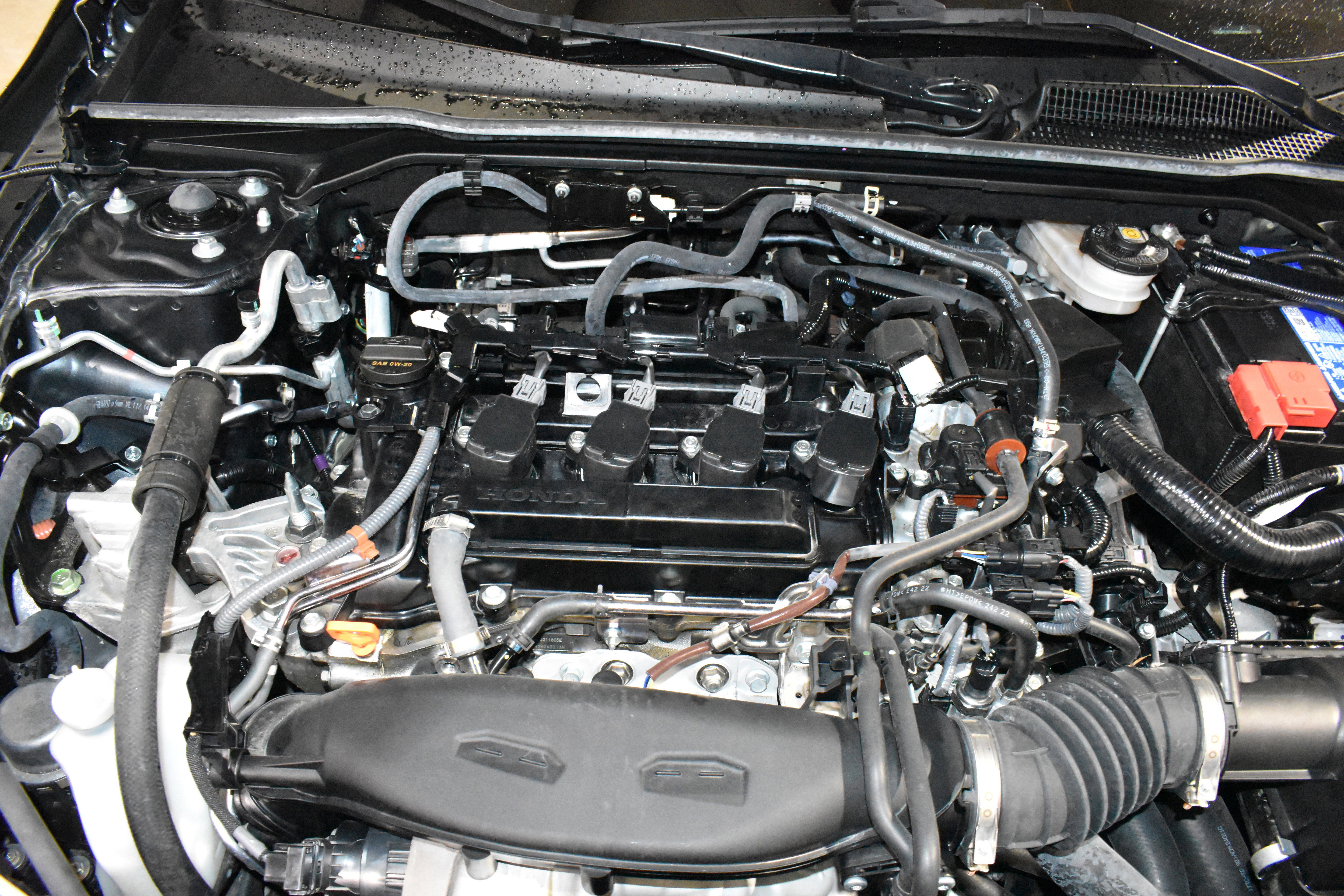 Certified 2024 Honda Civic EX image 31