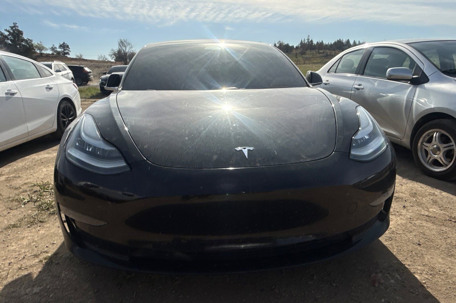 Used 2019 Tesla Model 3 Standard Range Plus RWD image 2