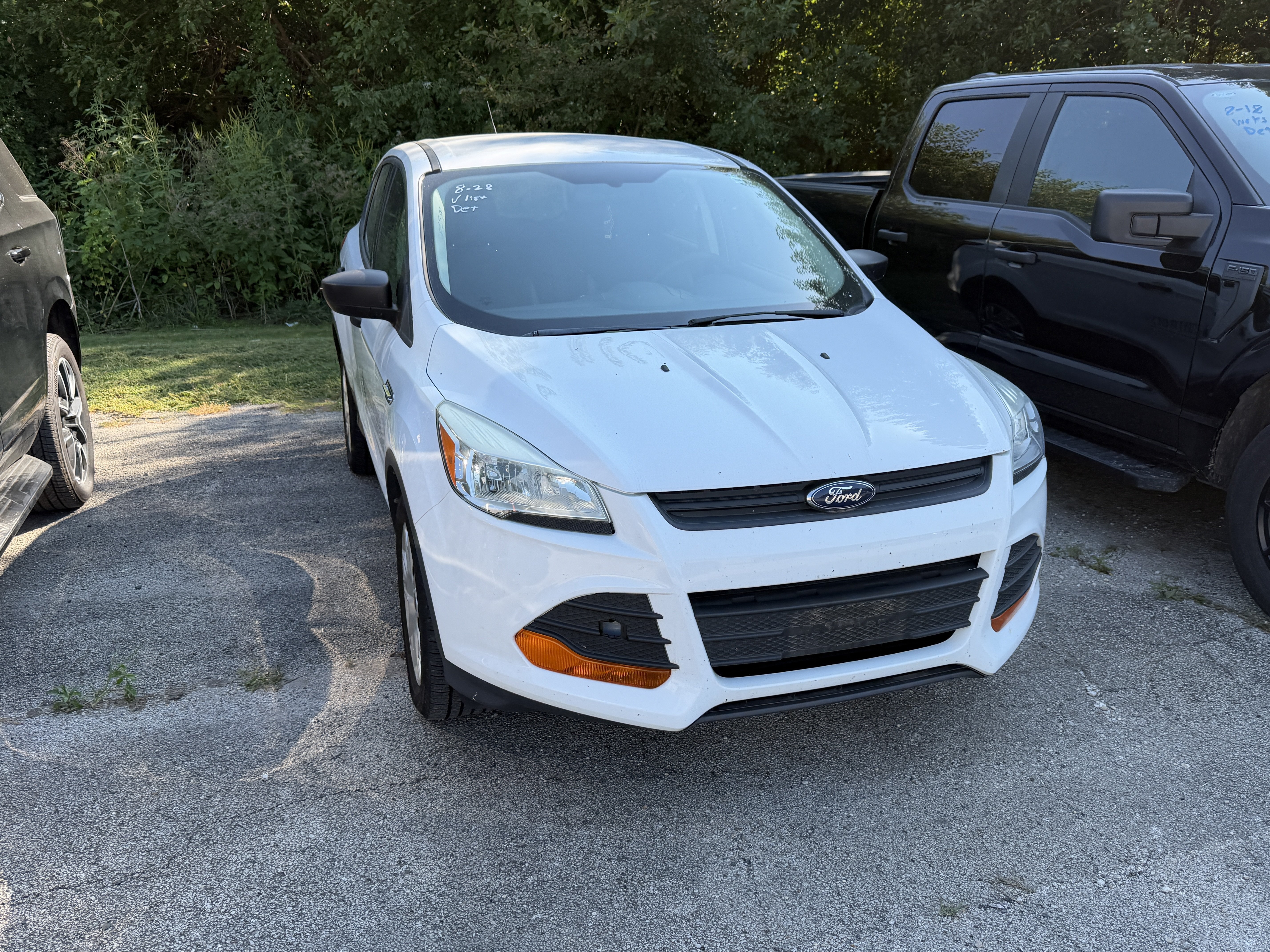 Used 2014 Ford Escape S FWD image 2