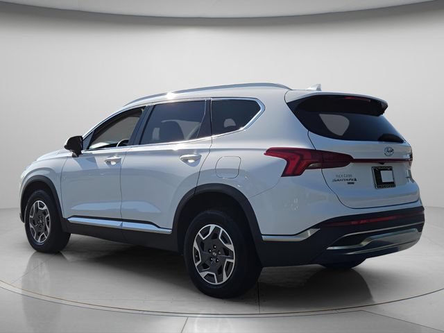 Used 2023 Hyundai Santa Fe Blue AWD/4WD image 6