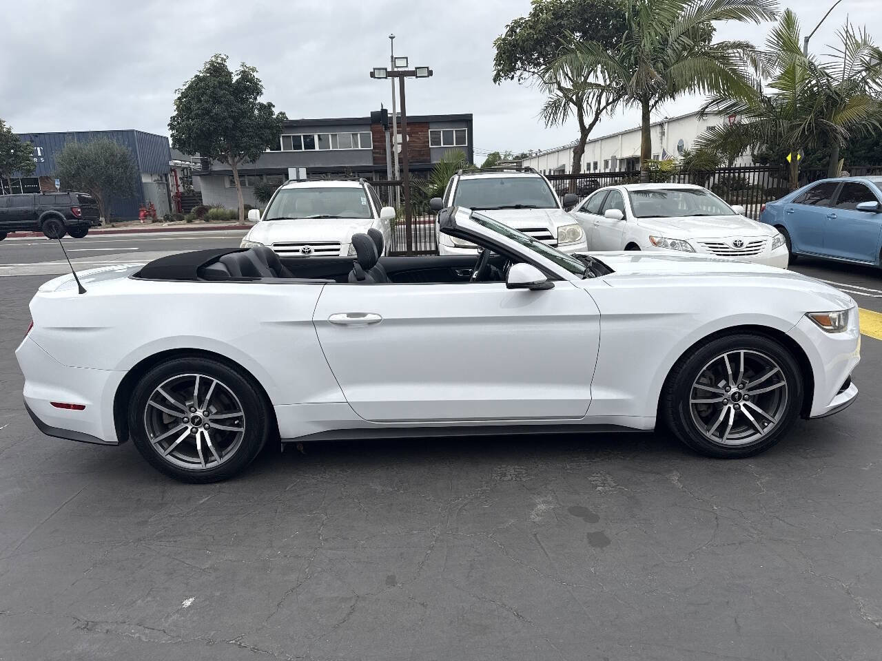 Used 2016 Ford Mustang Premium image 7