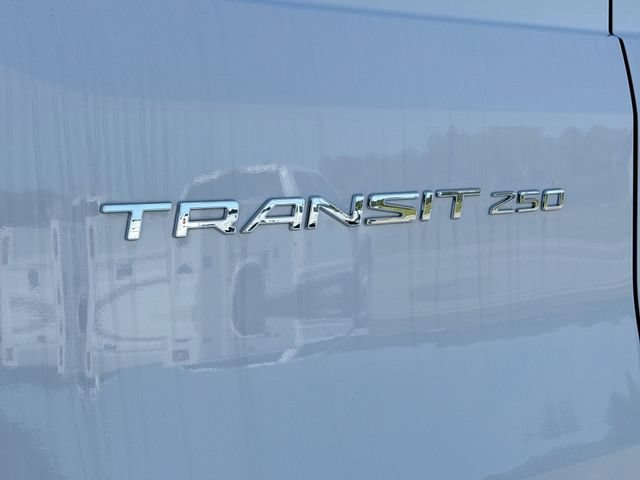 New 2024 Ford Transit 250 Low Roof w/ Load Area Protection Package RWD image 15