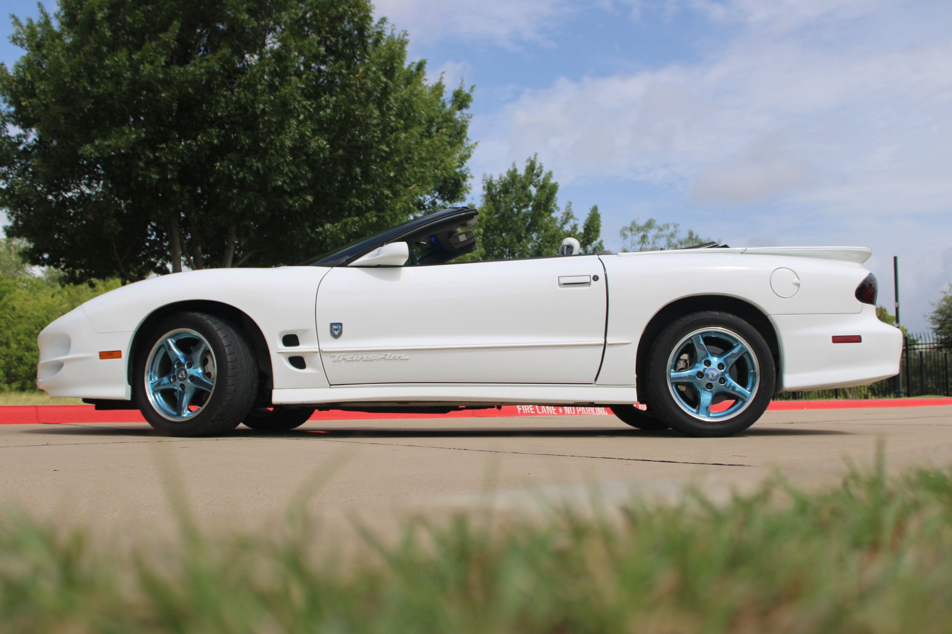 Used 1999 Pontiac Firebird Trans Am RWD image 7