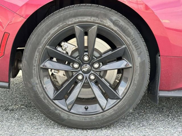 Used 2025 Ford Mustang GT image 7